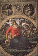 Luca Signorelli Madonna and Child with Prophets oil painting